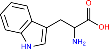Триптофан